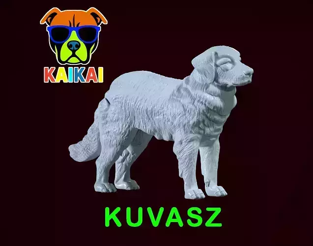 Kuvasz - Kuvasz Hungary MODEL - 3D print 3D print model