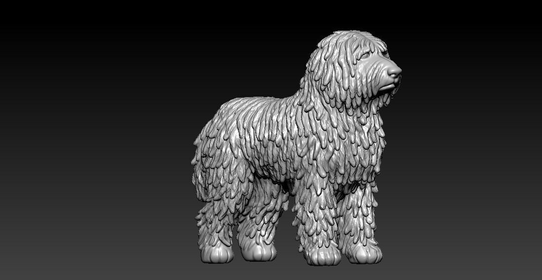 DOG - Komondor - Hungarian Commonmop MODEL - 3d PRINT 3D print model_1