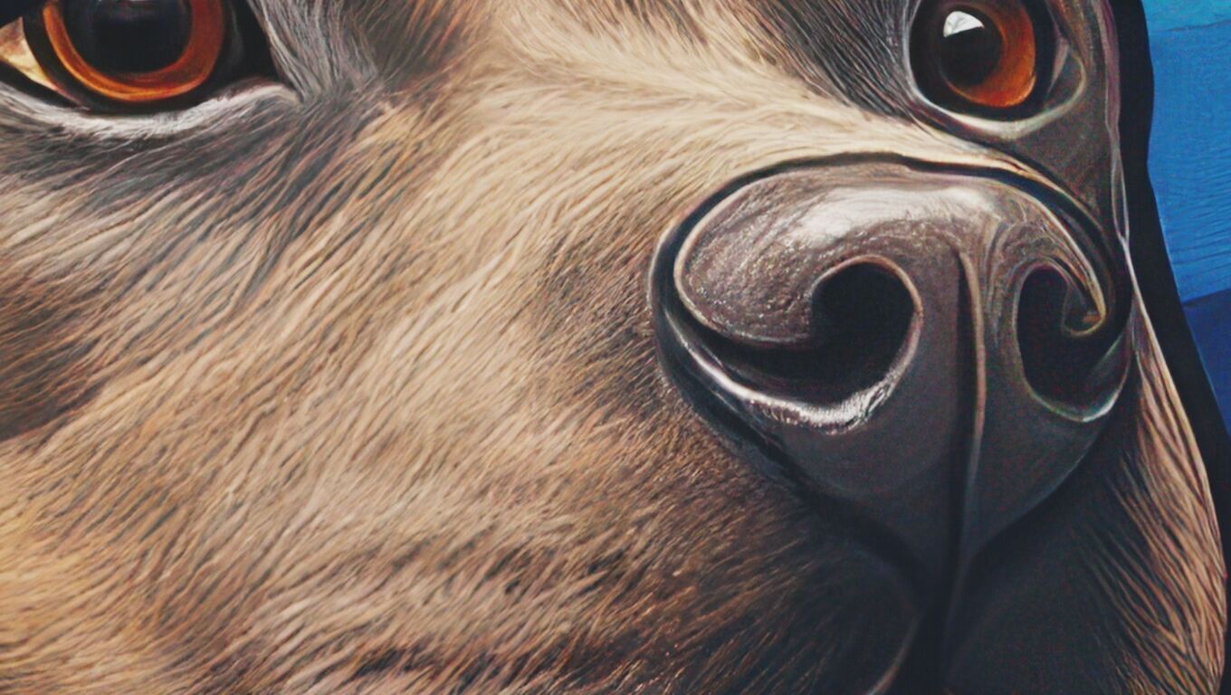 16K Base Color Texture Dog and Serpent Mural Ultra HD Texture Texture_8