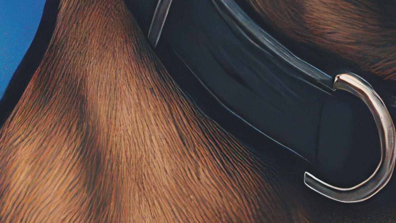 16K Base Color Texture Dog and Serpent Mural Ultra HD Texture Texture_6