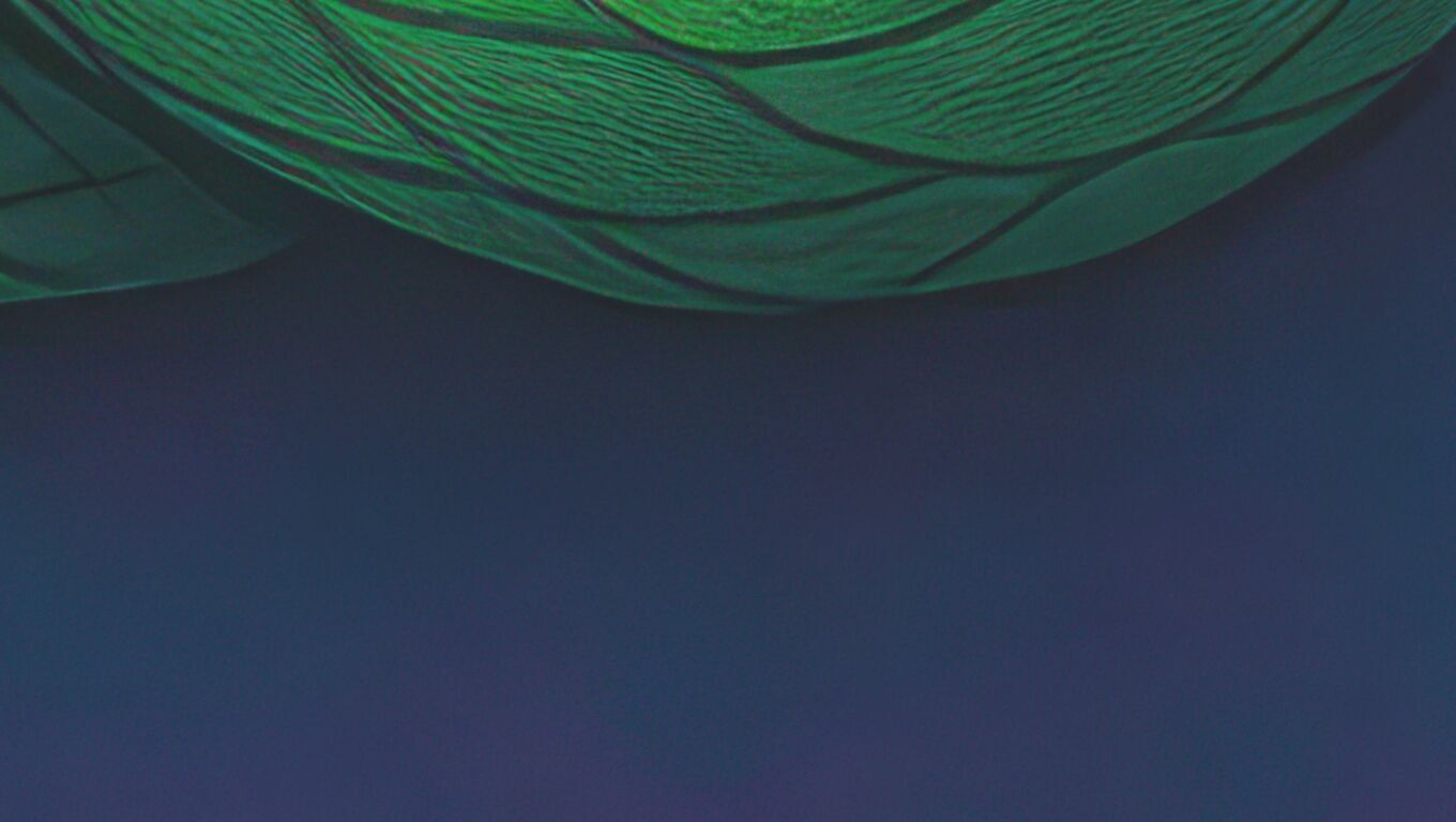 16K Base Color Texture Dog and Serpent Mural Ultra HD Texture Texture_4