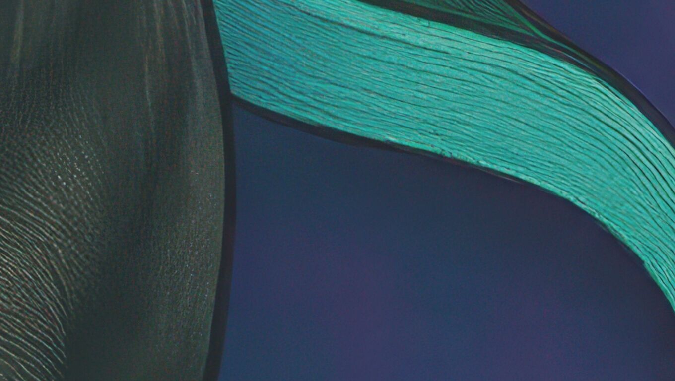 16K Base Color Texture Dog and Serpent Mural Ultra HD Texture Texture_14