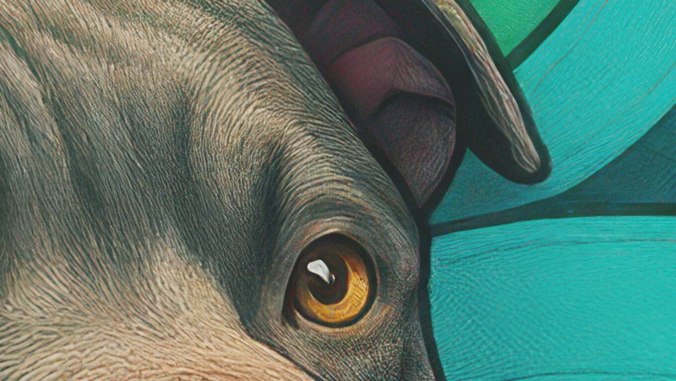 16K Base Color Texture Dog and Serpent Mural Ultra HD Texture_10