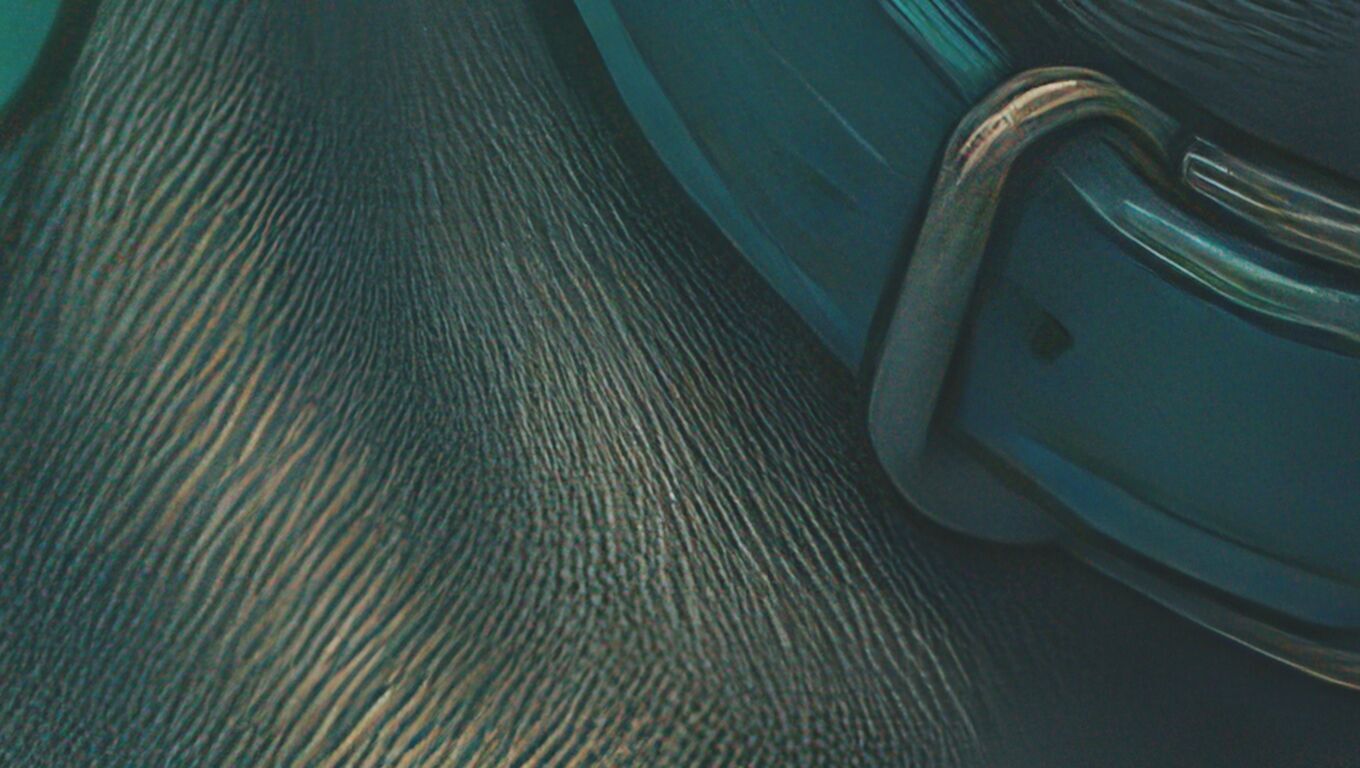 16K Base Color Texture Dog and Serpent Mural Ultra HD Texture_12