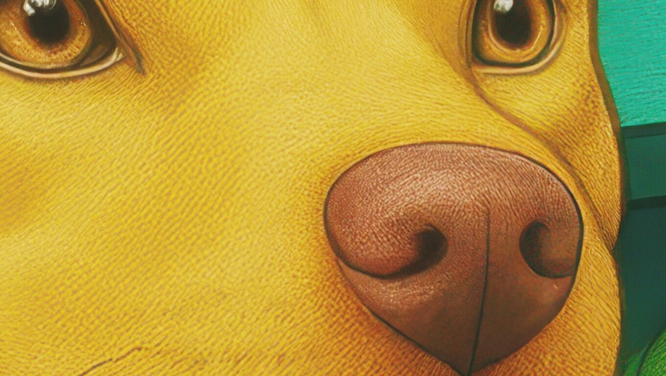 16K Base Color Texture Dog and Serpent Mural Ultra HD Texture_7