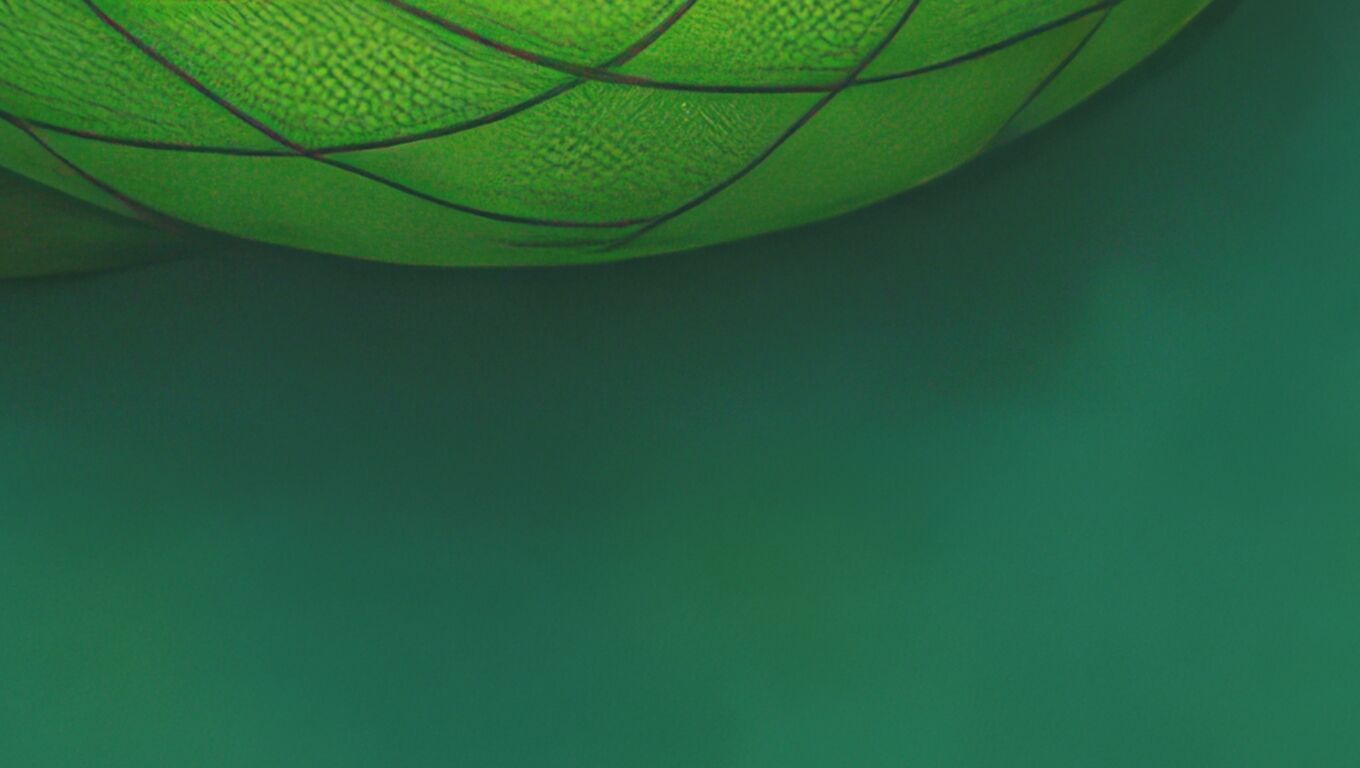 16K Base Color Texture Dog and Serpent Mural Ultra HD Texture_13