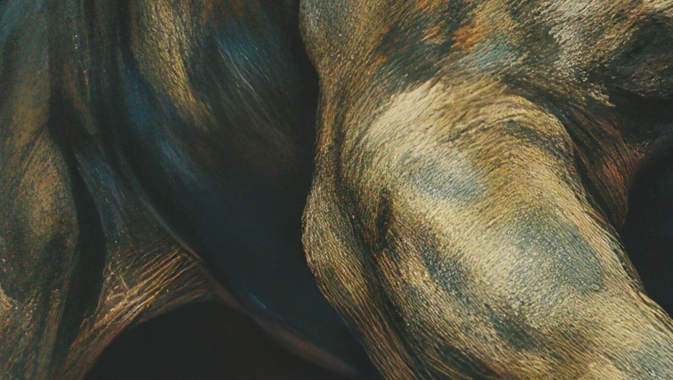 16K Base Color Texture Dog and Serpent Mural Ultra HD Texture_19