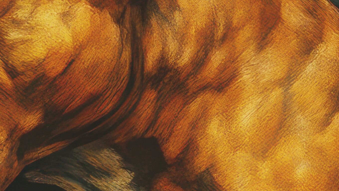 16K Base Color Texture Dog and Serpent Mural Ultra HD Texture_18