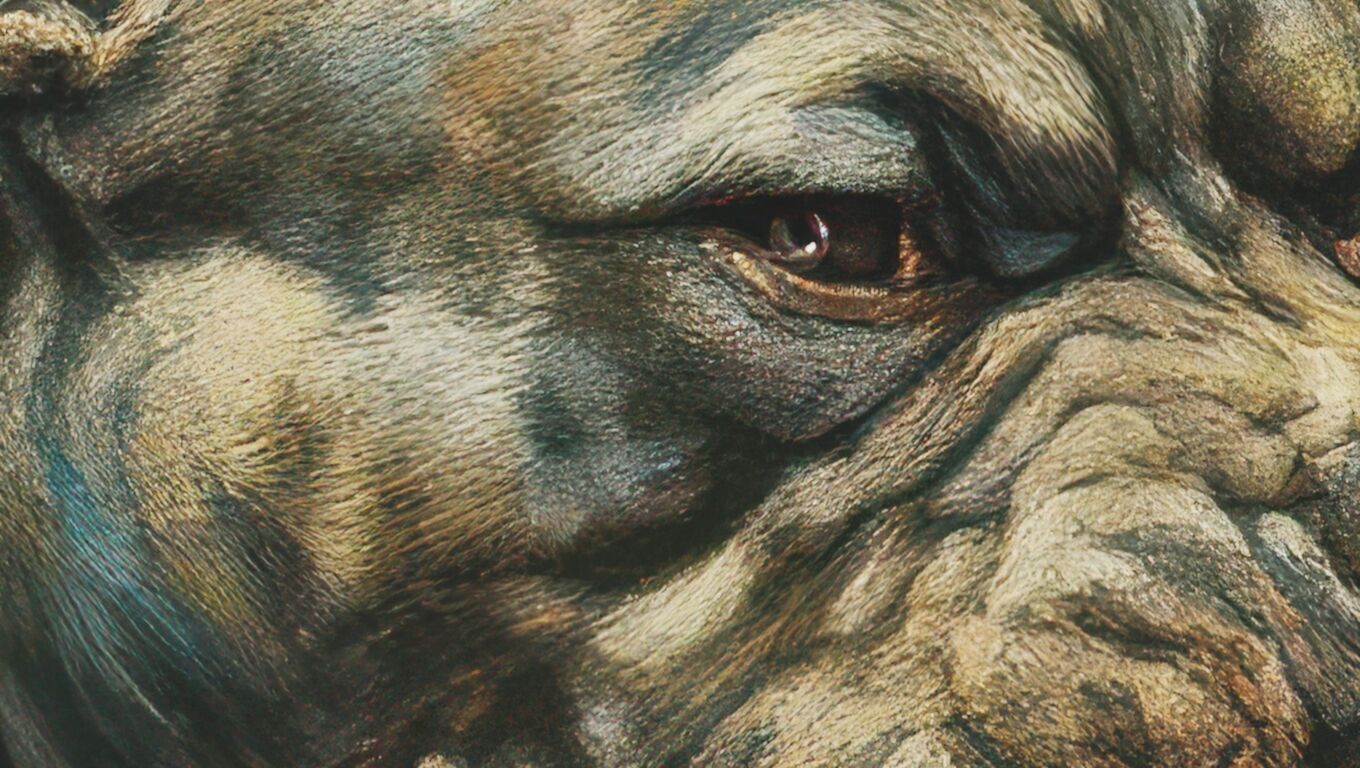 16K Base Color Texture Dog and Serpent Mural Ultra HD Texture_10