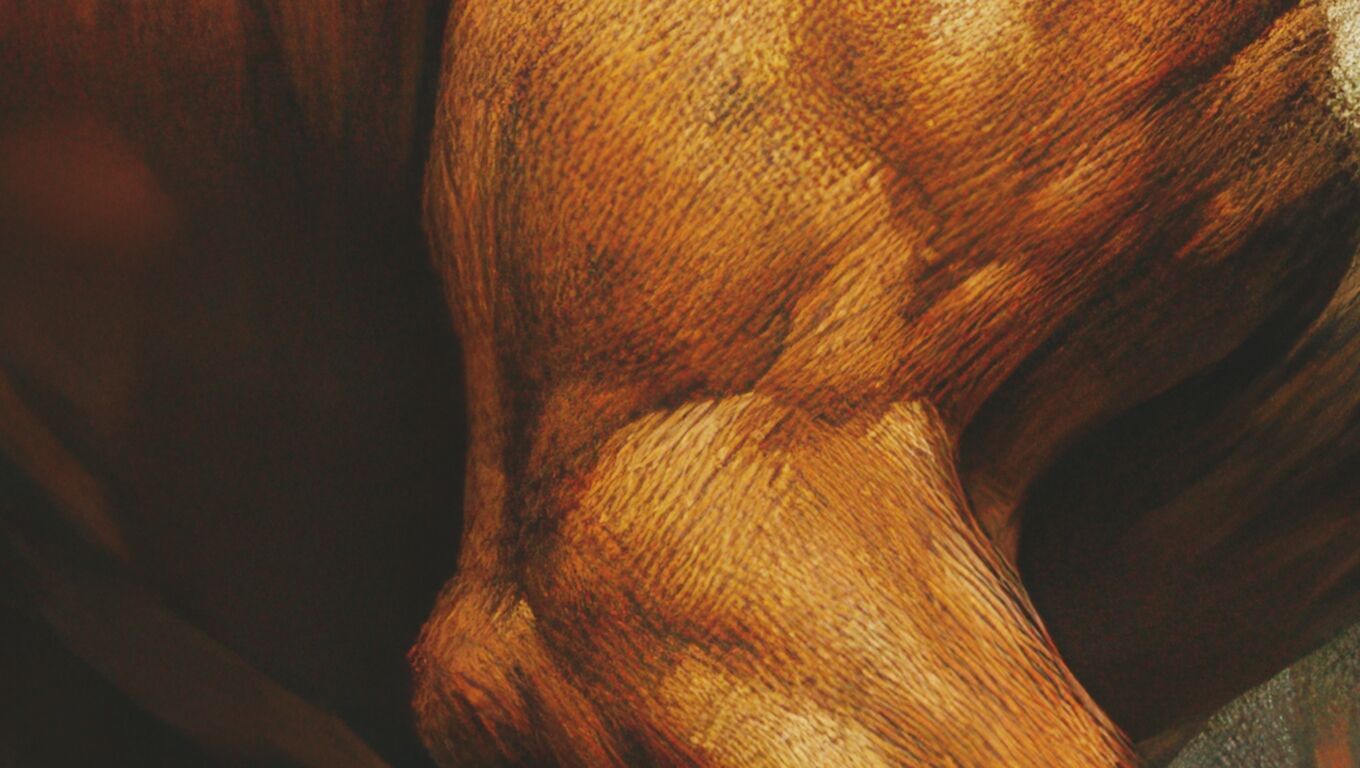 16K Base Color Texture Dog and Serpent Mural Ultra HD  Texture_12