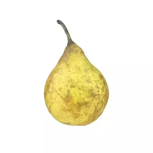 Green Pear Fruit