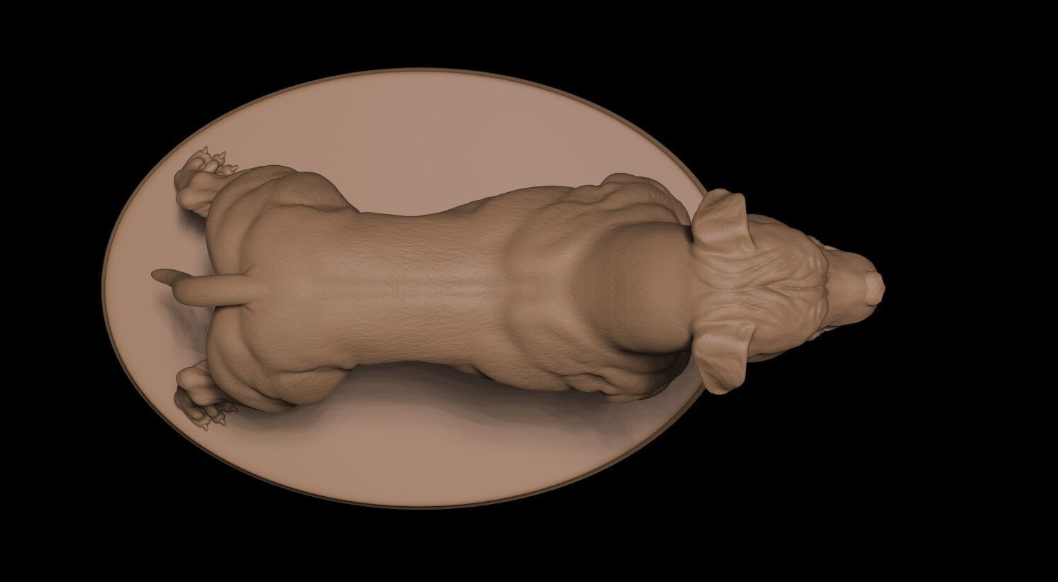 Pitbull Terrier 3D 3D print model_10