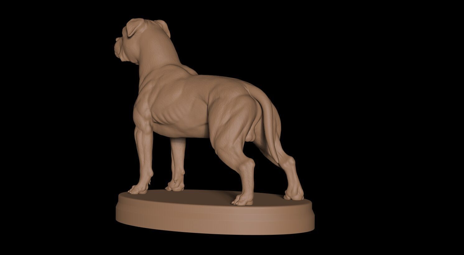 Pitbull Terrier 3D 3D print model_4