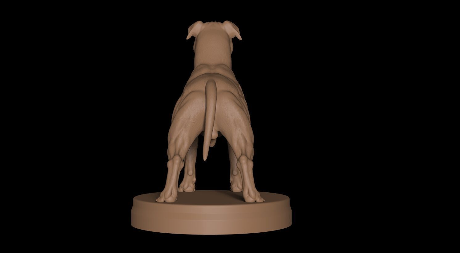 Pitbull Terrier 3D 3D print model_3