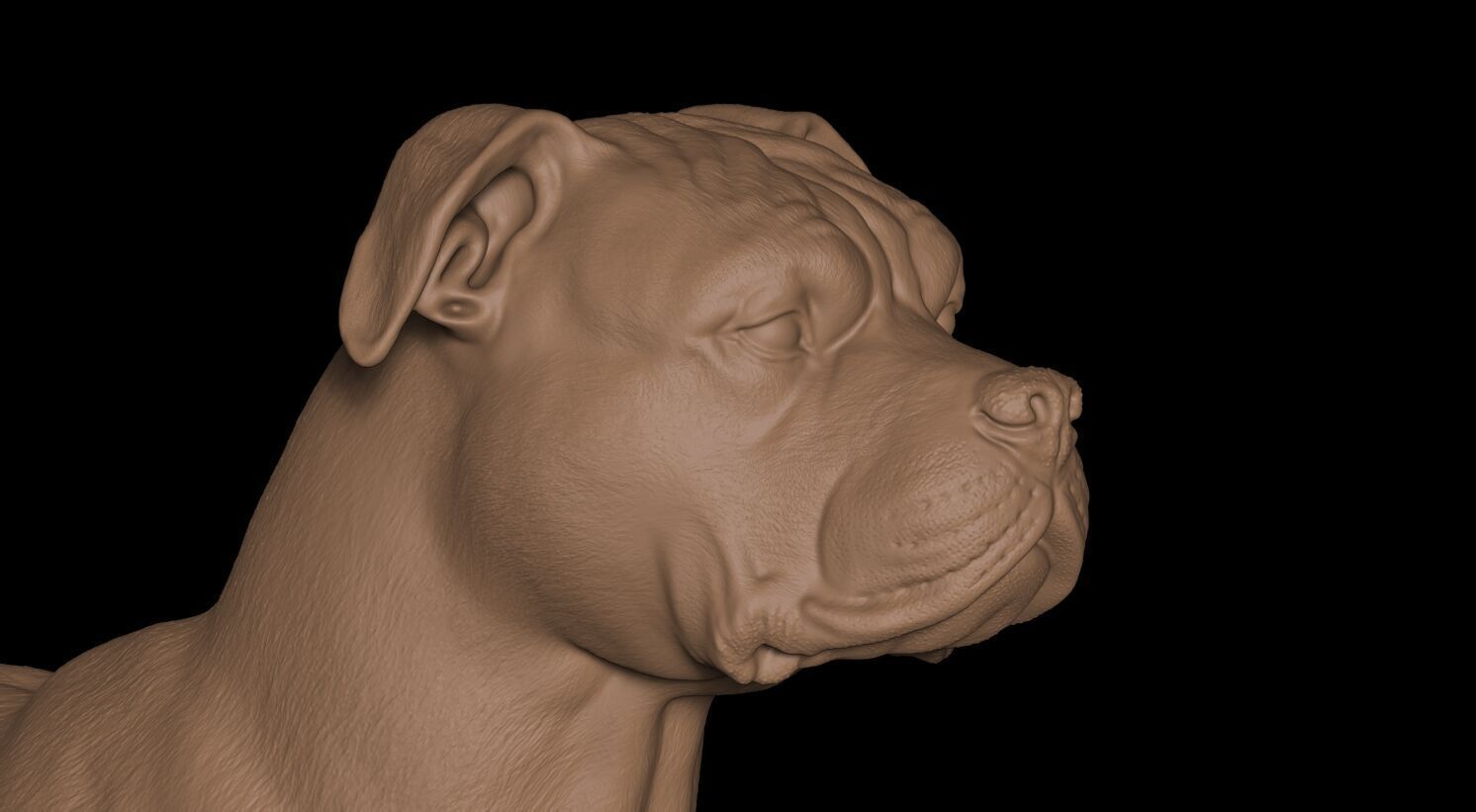 Pitbull Terrier 3D 3D print model_7