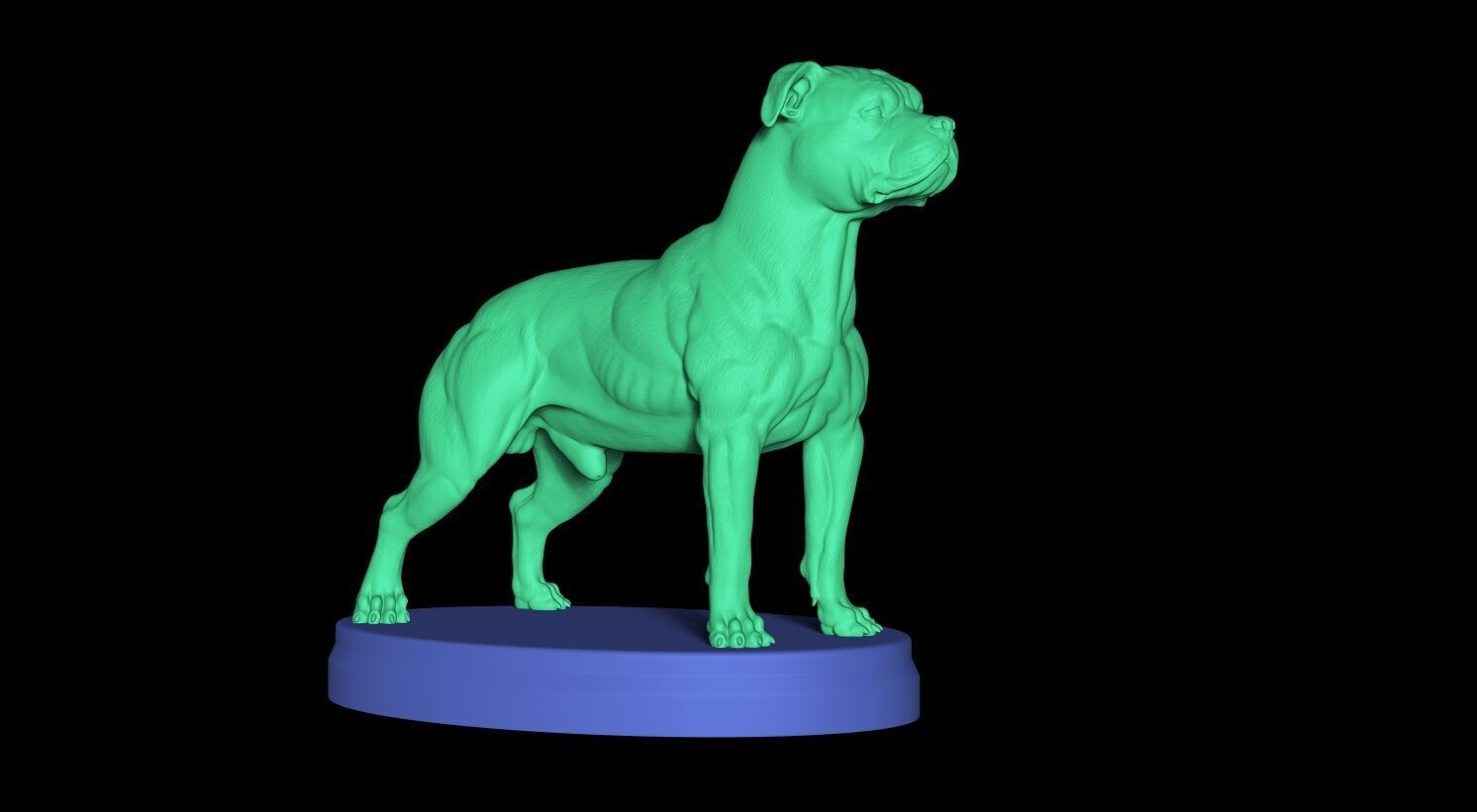 Pitbull Terrier 3D 3D print model_9