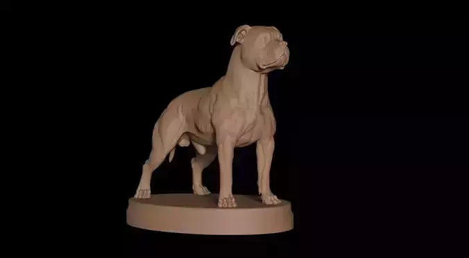 Pitbull Terrier 3D