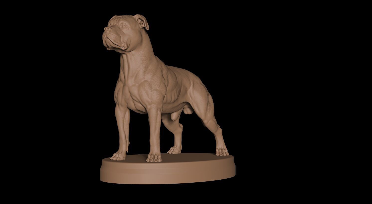 Pitbull Terrier 3D 3D print model_6