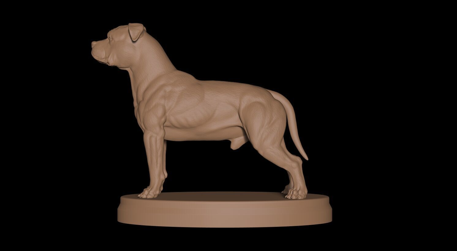 Pitbull Terrier 3D 3D print model_5