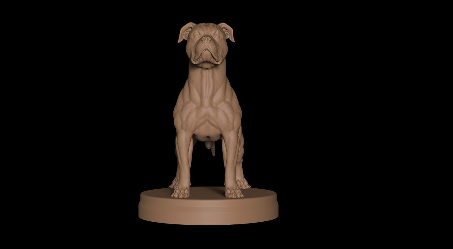 Pitbull Terrier 3D 3D print model_8