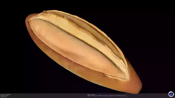 Stylized Turkish Stone Oven Bread - AI