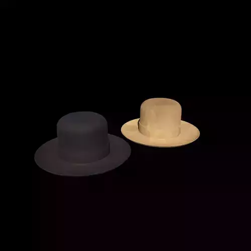 Bowler Hat 3D model