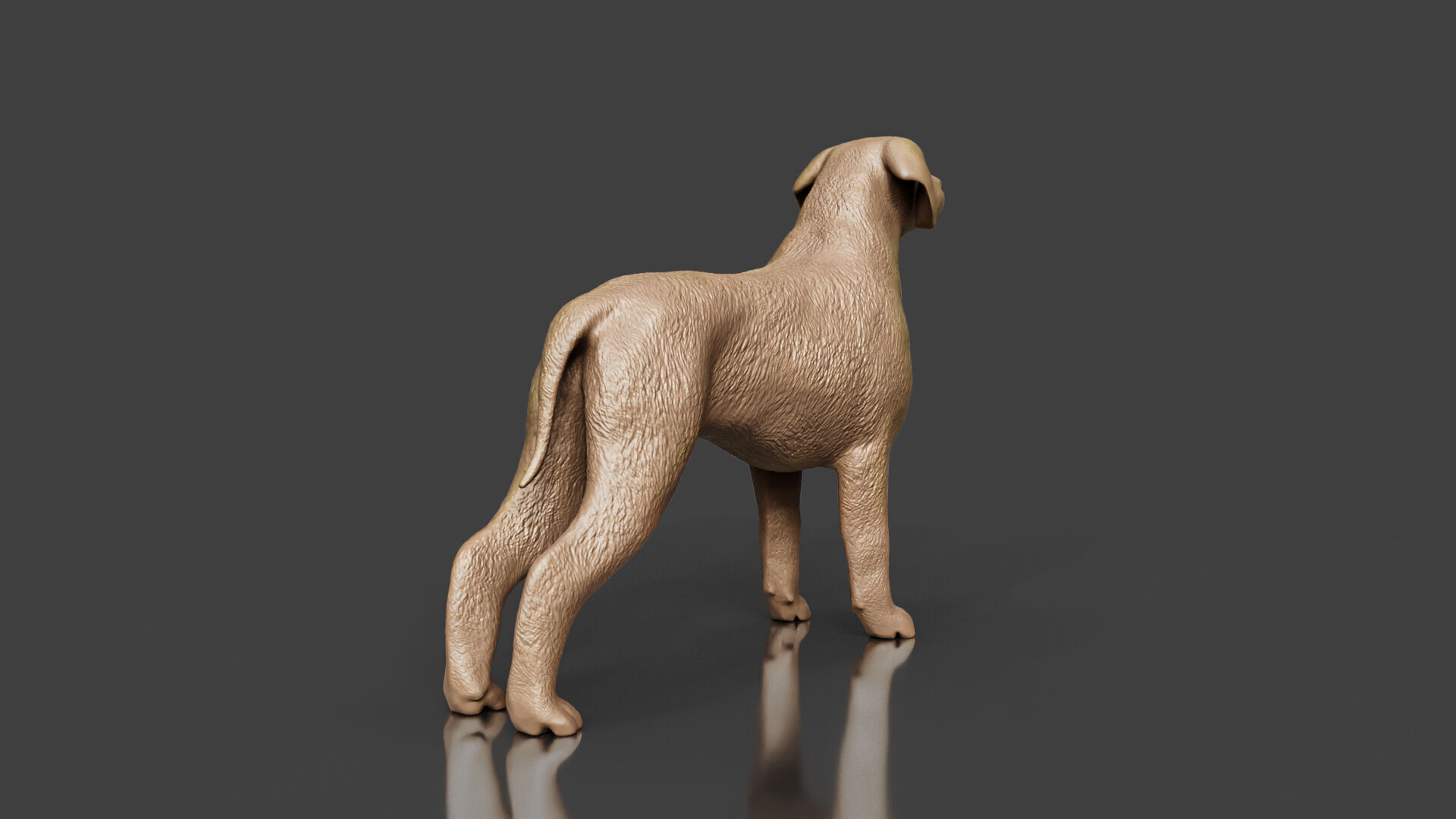 Boxer Great Dane Dog 3D Printing Toy 3D print model_3