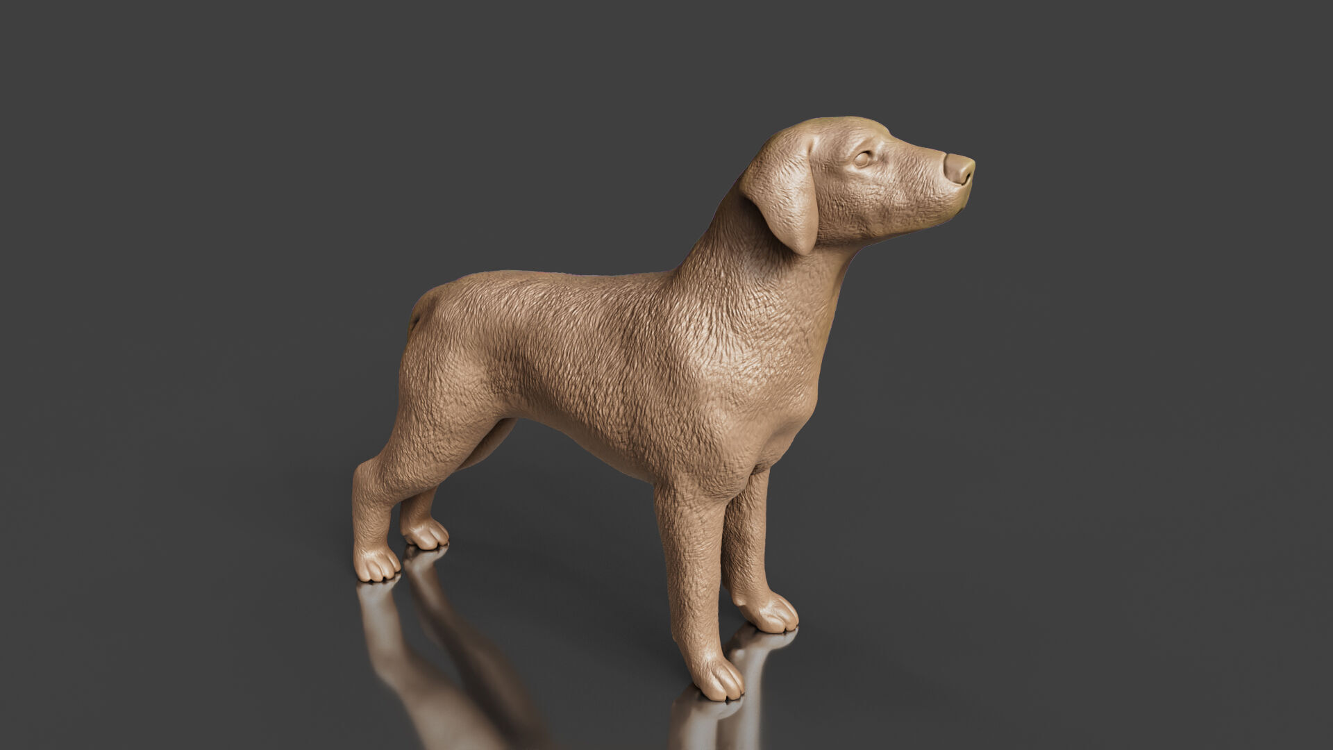 Boxer Great Dane Dog 3D Printing Toy 3D print model_4