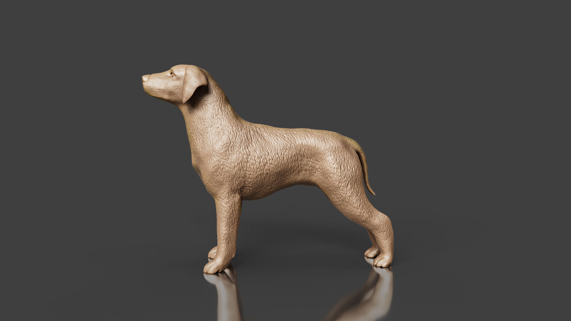 Boxer Great Dane Dog 3D Printing Toy 3D print model_1