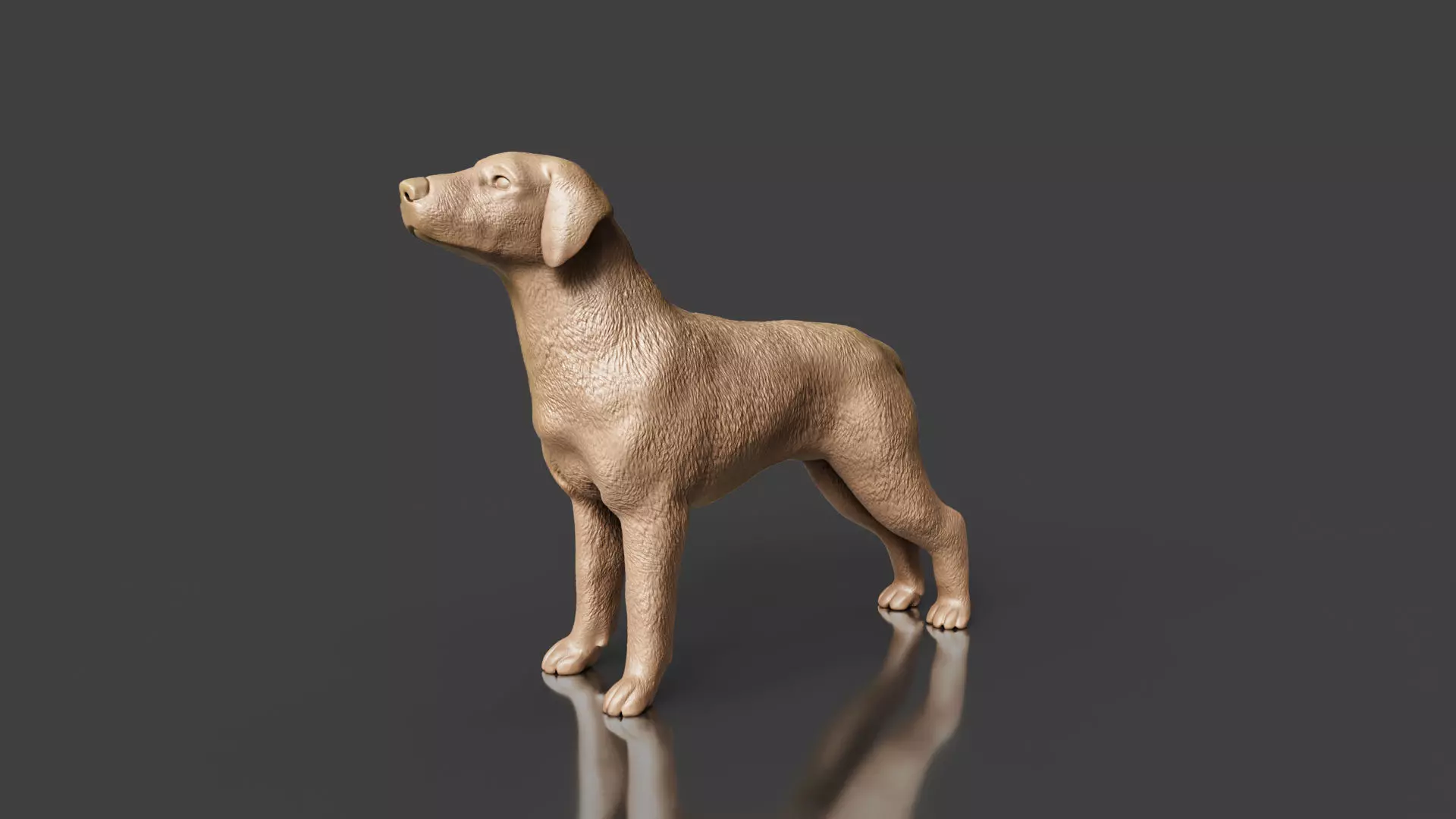 Boxer Great Dane Dog 3D Printing Toy 3D print model_0