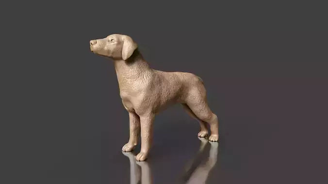 Boxer Great Dane Dog 3D Printing Toy