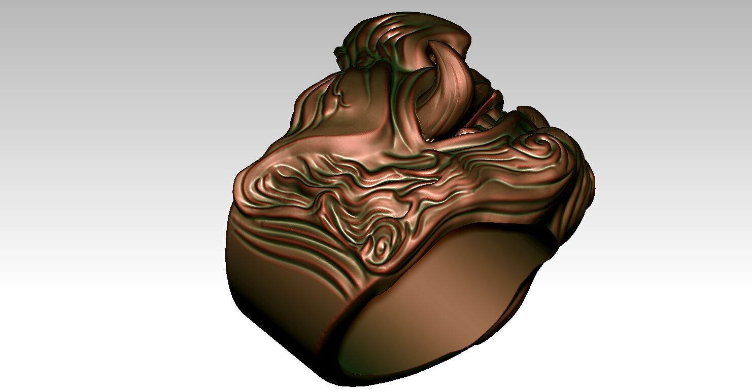 Ring Fangs 3D print model_6