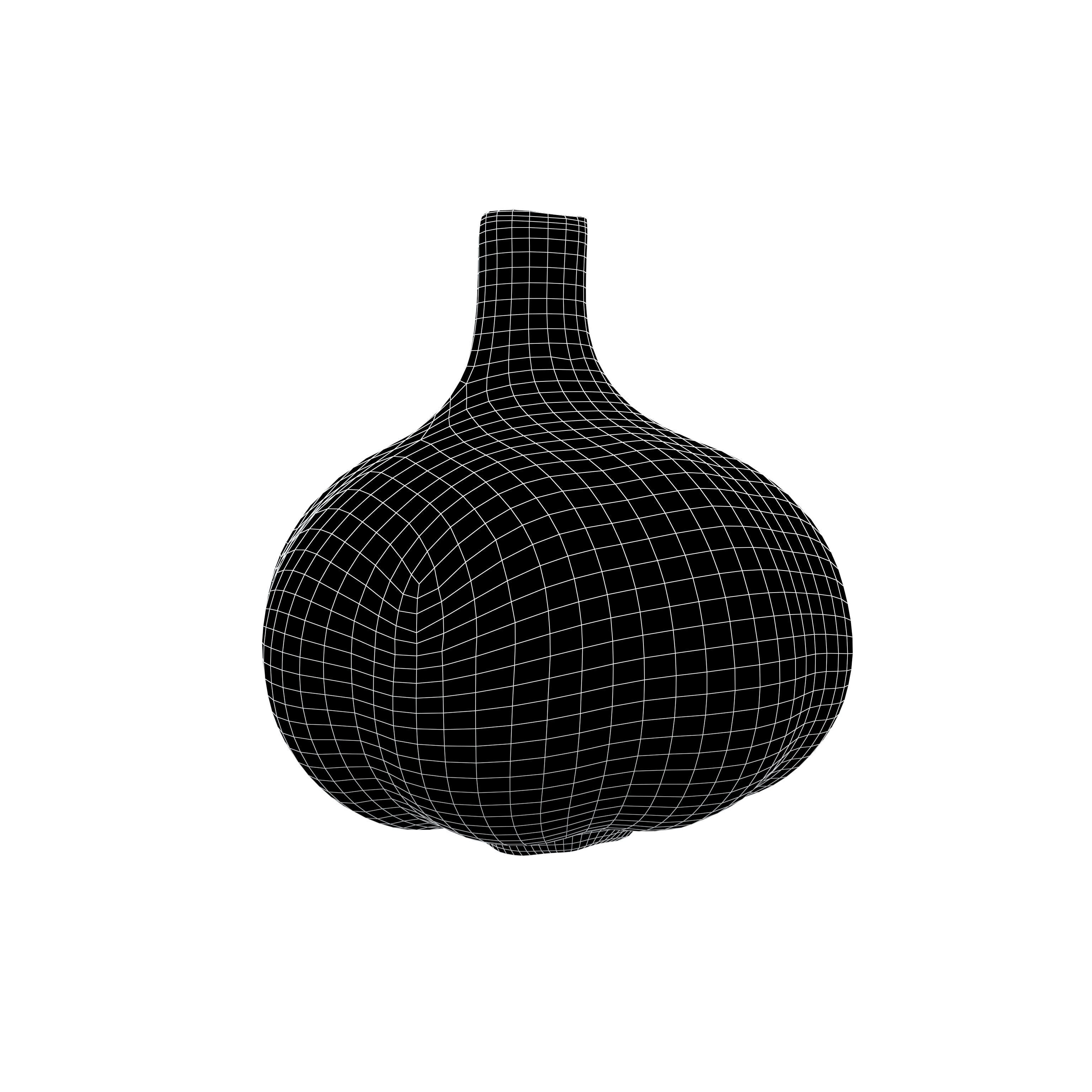 Garlic v1 002 Low-poly 3D model_4