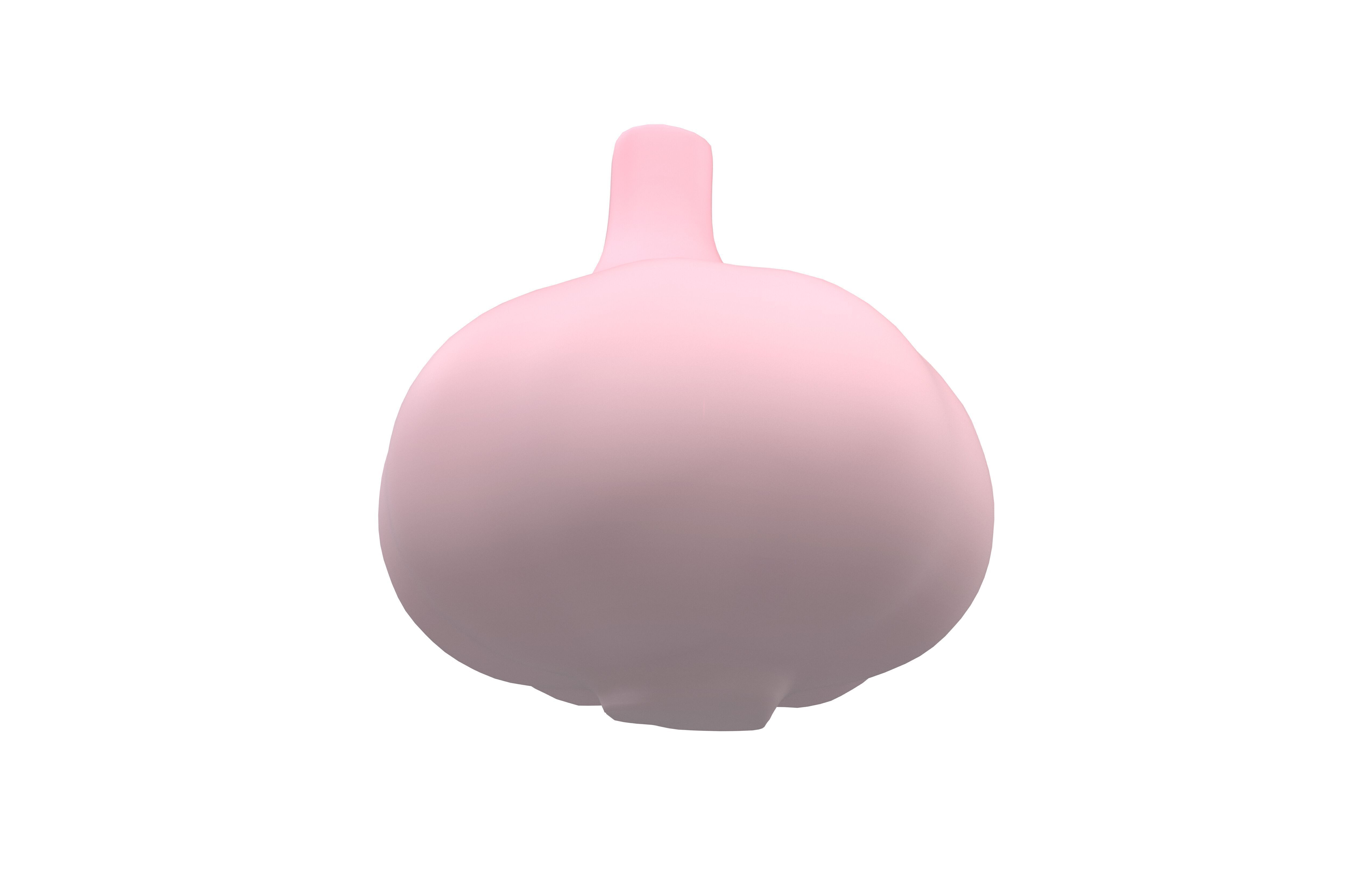 Garlic v1 002 Low-poly 3D model_3