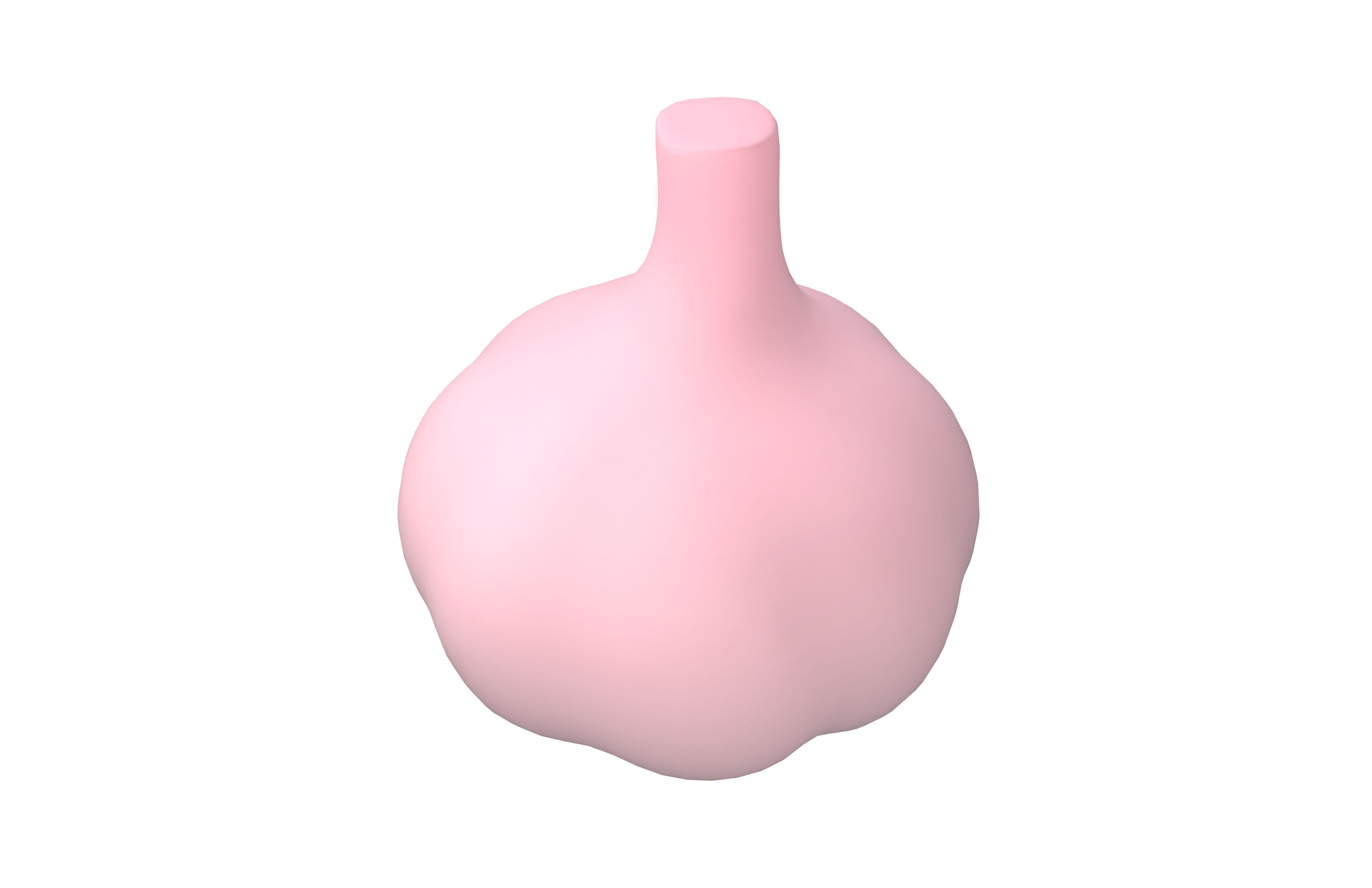 Garlic v1 002 Low-poly 3D model_1
