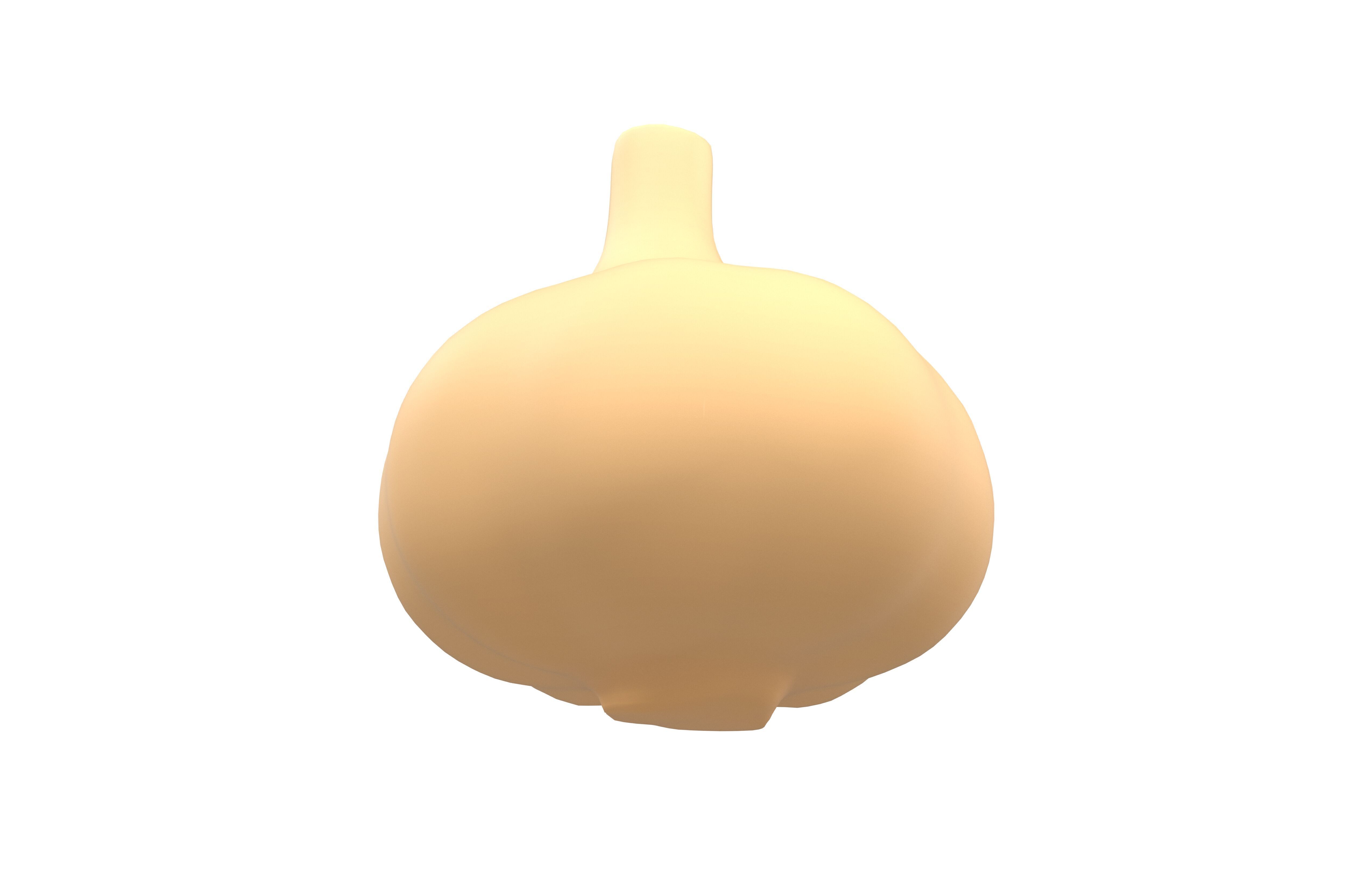 Garlic v1 003 Low-poly 3D model_3
