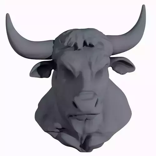 Highland Cow Head