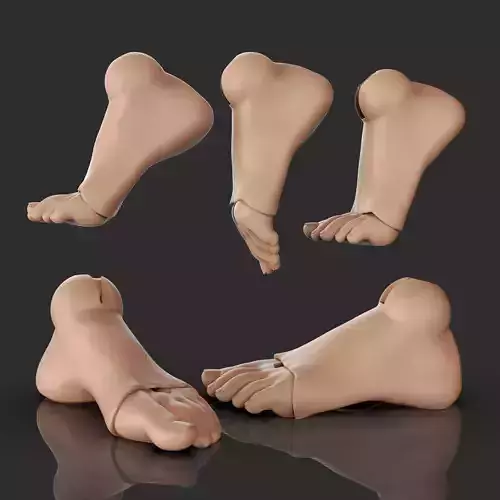 3D STL Foot Model for bjd Doll Poseable Ball Jointed Doll Feet 