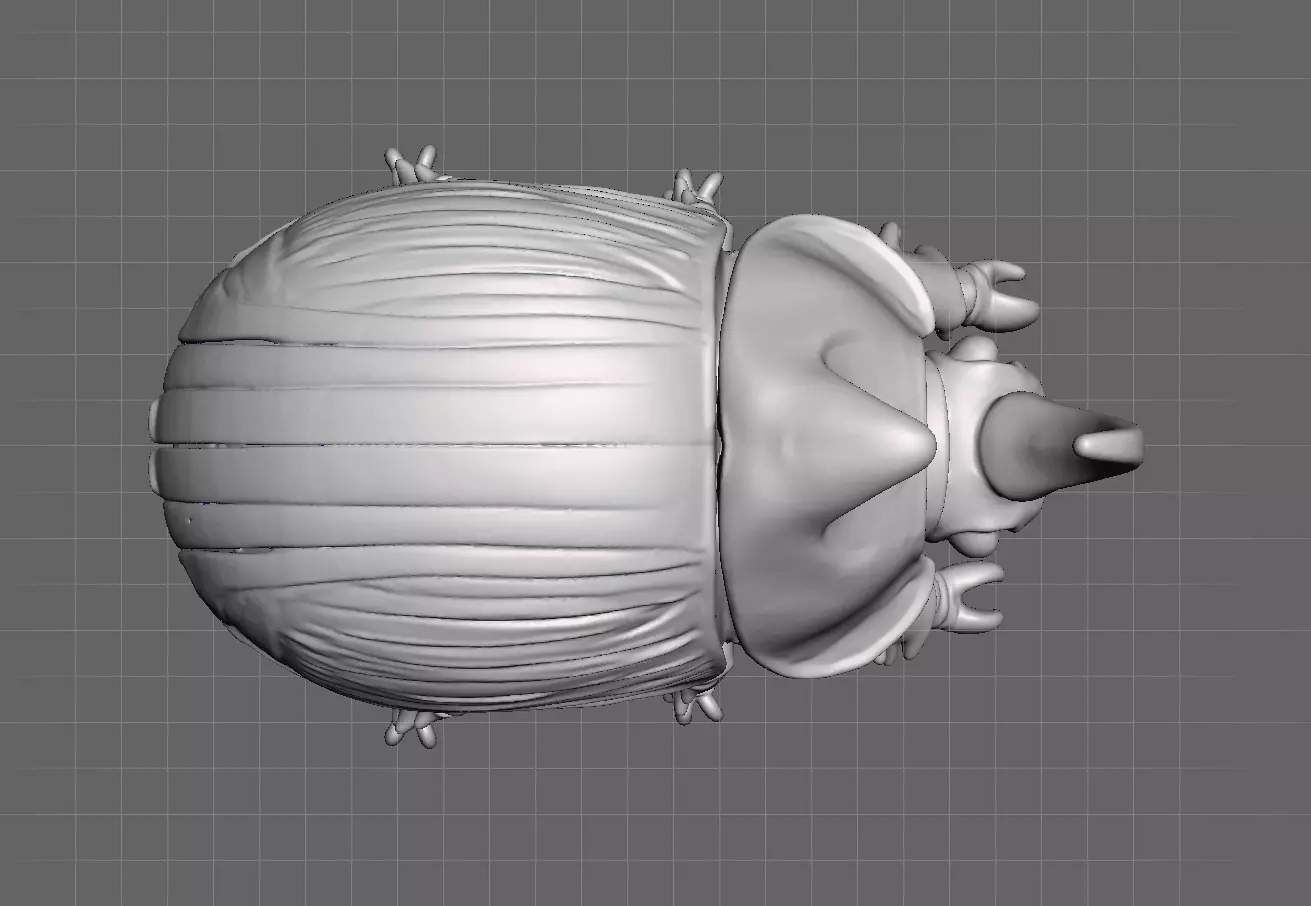 Dung beetle 3D print model_0
