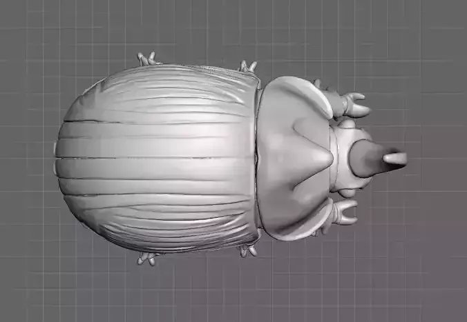 Dung beetle 3D print model