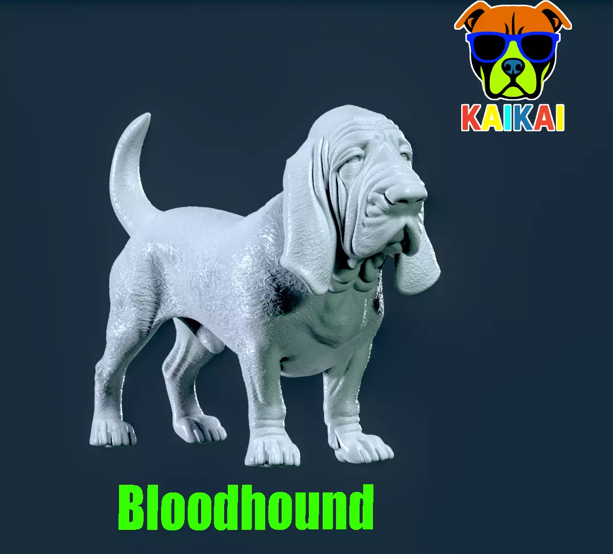 Bloodhound - St Hubert Hound model - 3D print 3D print model_0