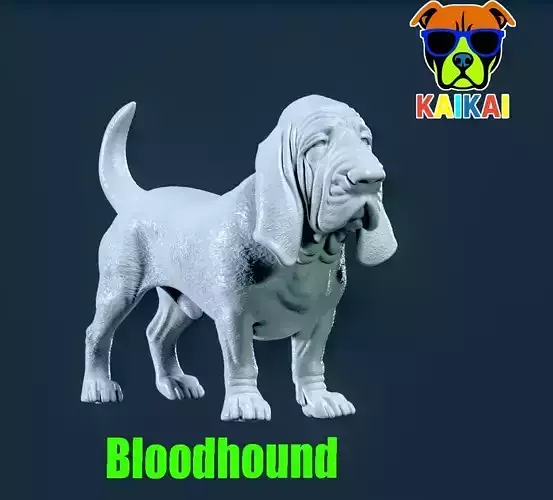 Bloodhound - St Hubert Hound model - 3D print 3D print model