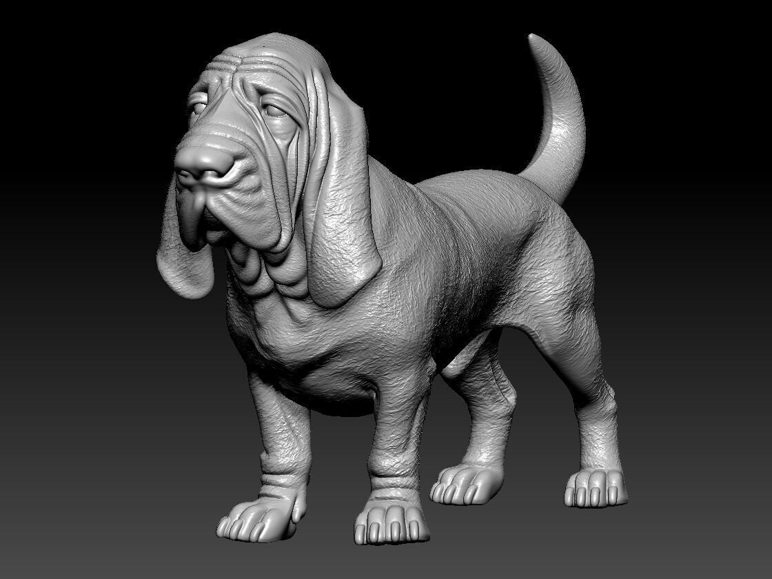 Bloodhound - St Hubert Hound model - 3D print 3D print model_2