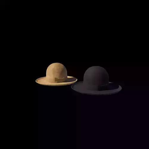 Bowler Hat 3D model