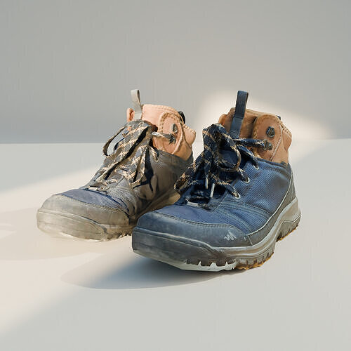 3D Scanned Hiking Shoe High-Quality Outdoor Footwear Model Low-poly 3D model