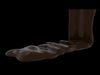 Chocolate Pouring Animation 3D model_1
