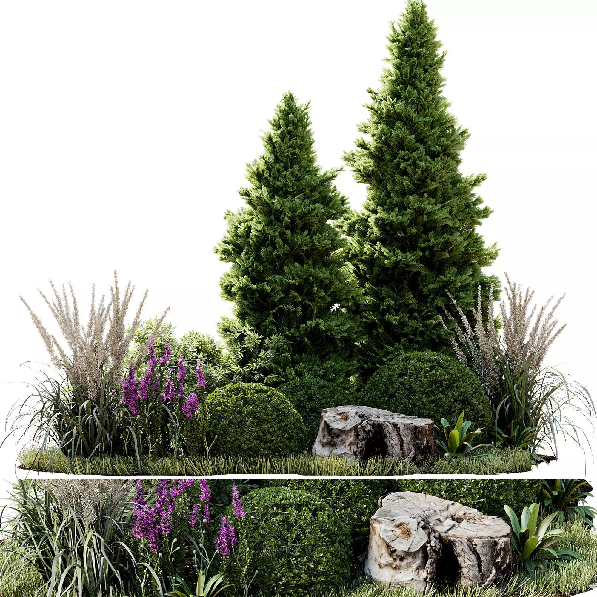 Outdoor Plant 34 3D model
