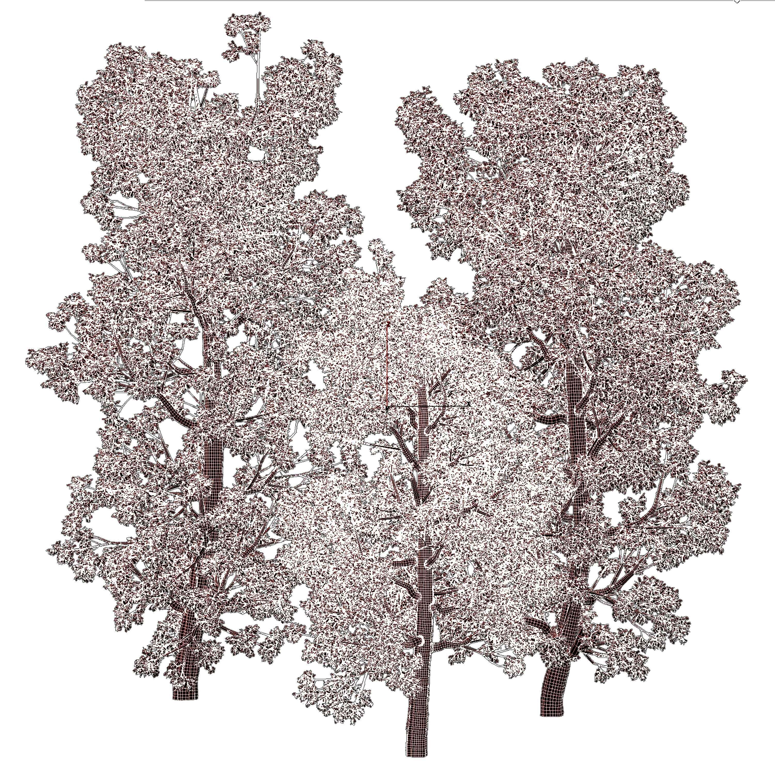Broadleaf Tree Set 08 3D model_7