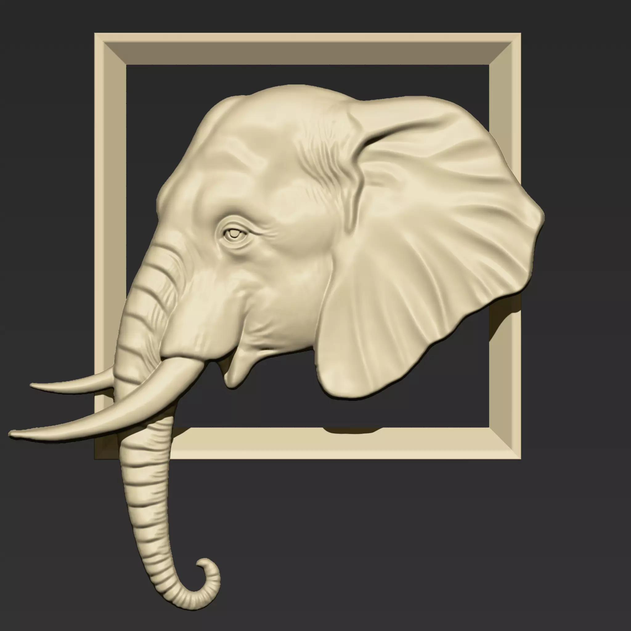 Elephant Head A64 3D print model