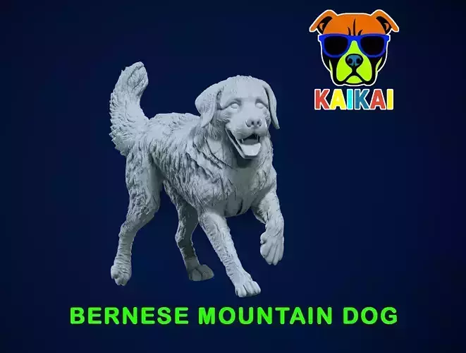 Bernese Mountain Dog - Berner Sennenhund model - 3D print 3D print model